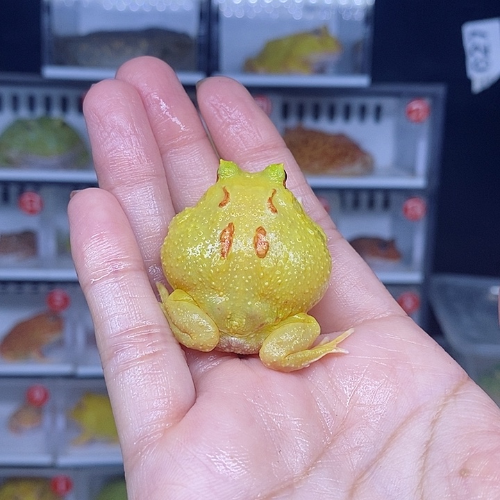 特价秒杀现货特价