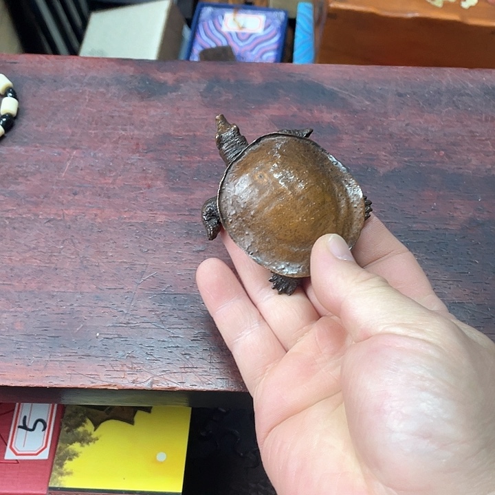 其他主播推荐——-