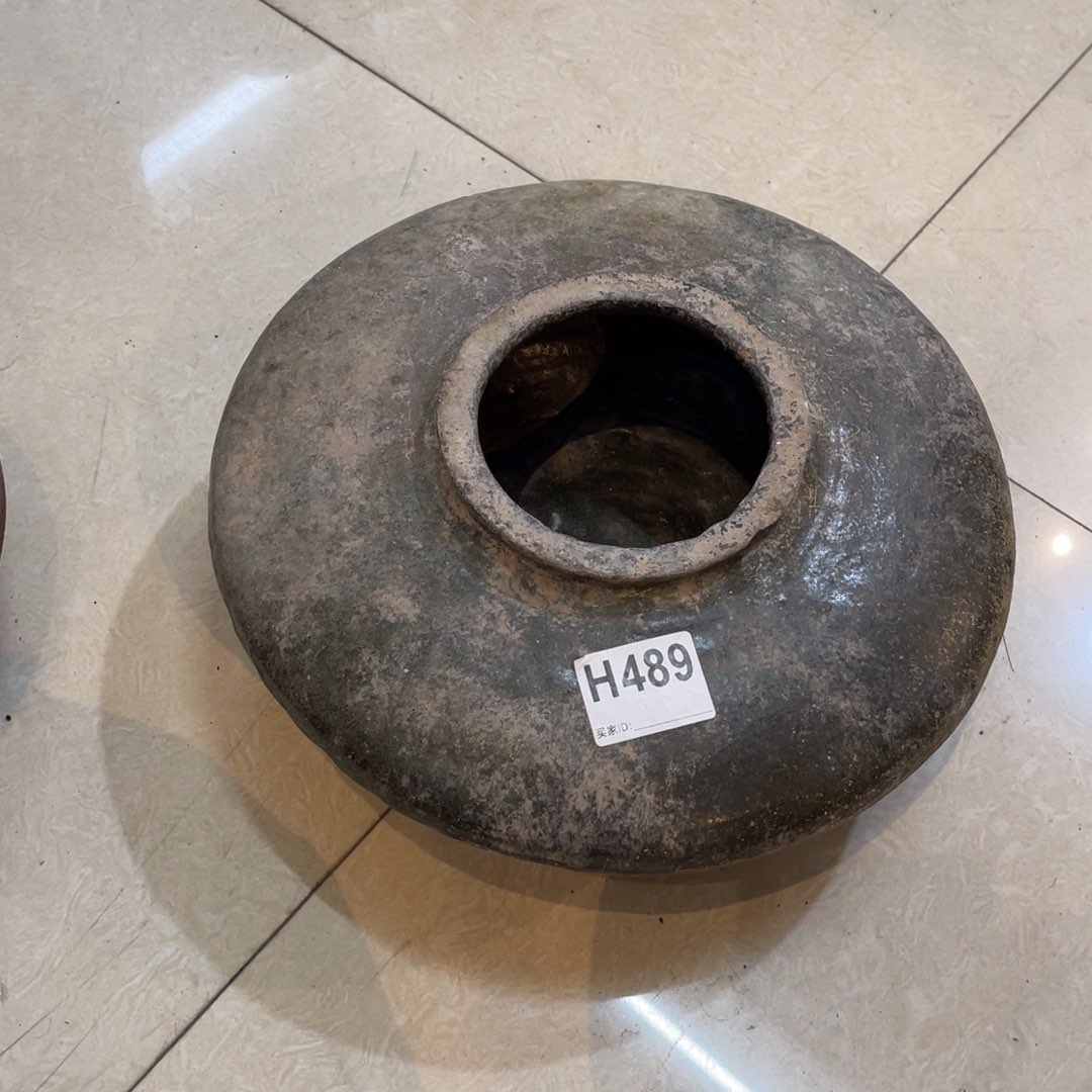 食***悟H489你好呀打榜加油打投