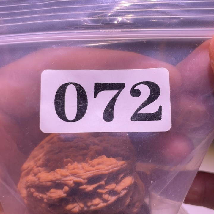 纸***鱼文玩核桃吊坠072虎头