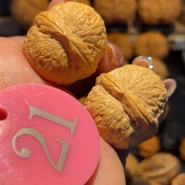 粗筋小西瓜尺寸32
