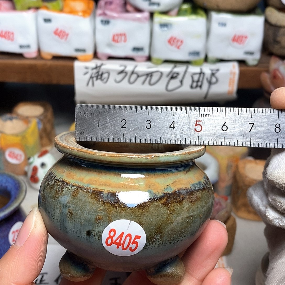 红陶拍5送一个小