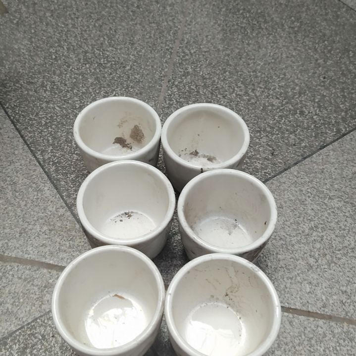 摆件陶瓷杯，我们班