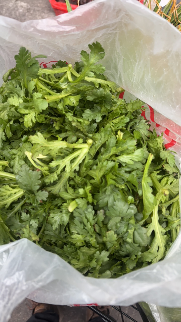 农家自种茼蒿现称