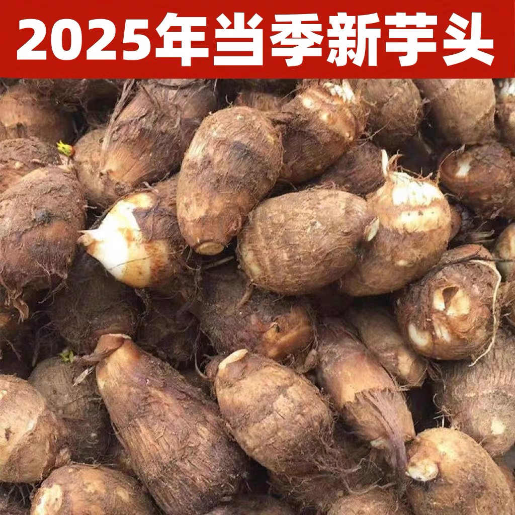 新鲜现挖毛芋头软糯香滑
