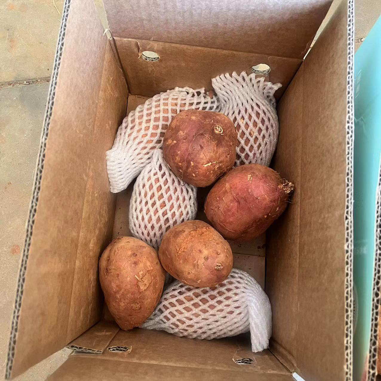 【大乐鲜果 中通快递】榴莲蜜薯4.5斤装 （没有榴莲味道）福利 烤着吃