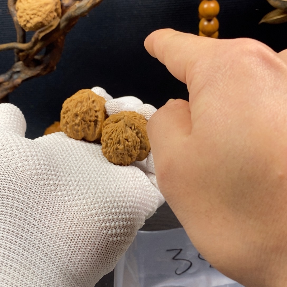 星****我是任正星星的粉丝