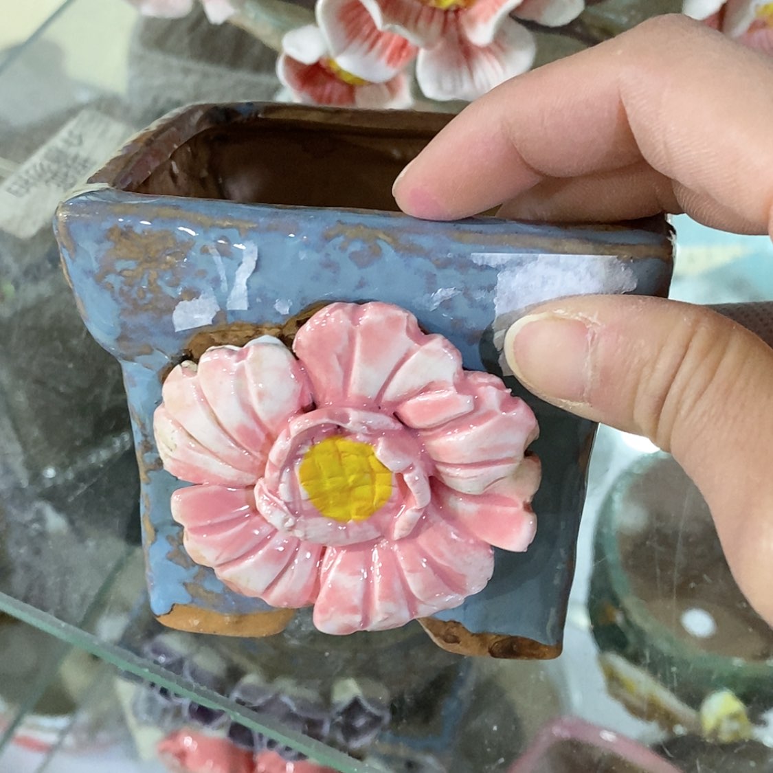 【闪购商品】红陶福利