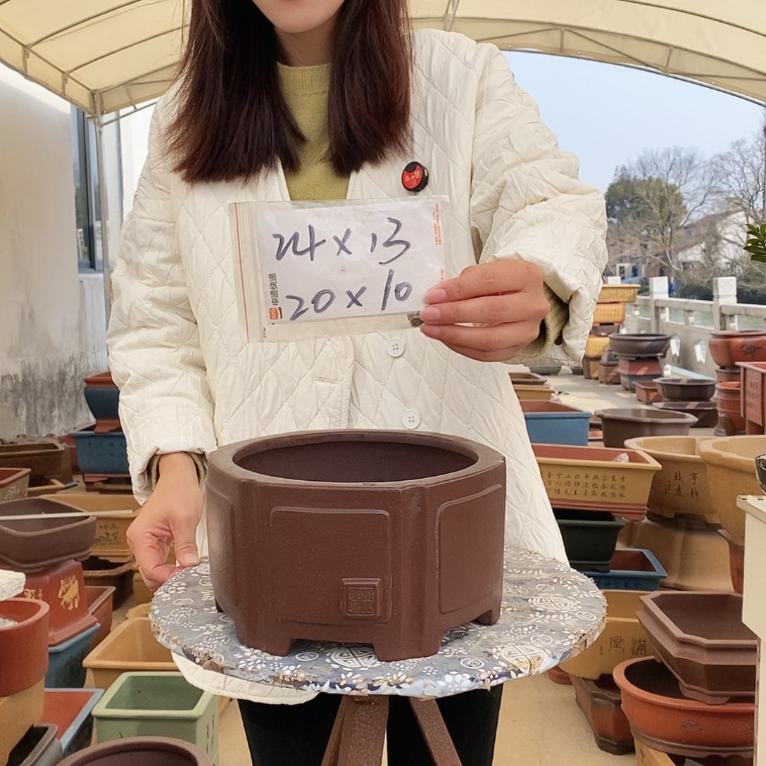 紫砂花盆紫砂花盆