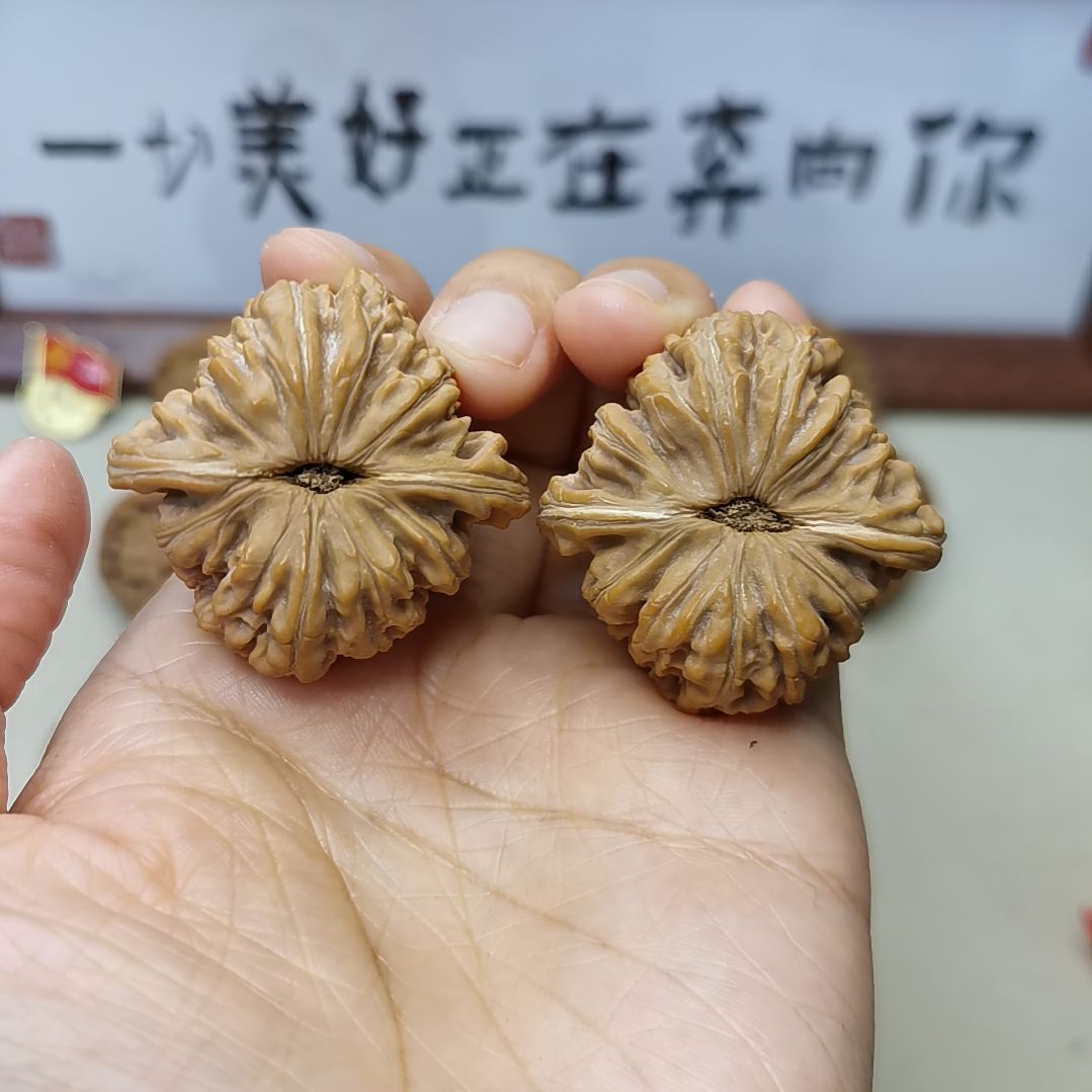 40尺全品三角楼 43克重