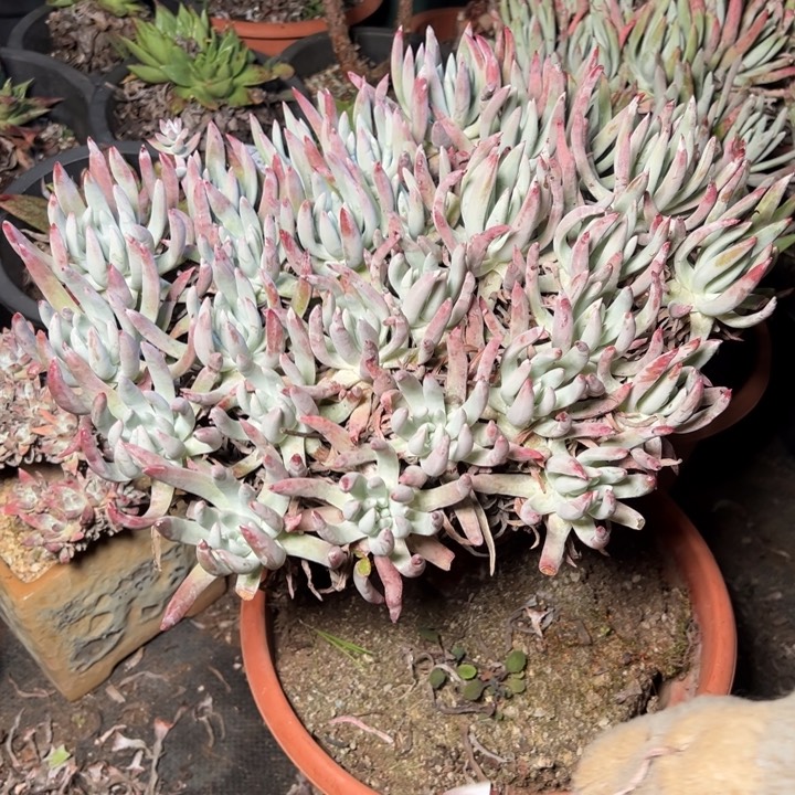 冬**雪1723哈哈哈哈哈哈哈哈