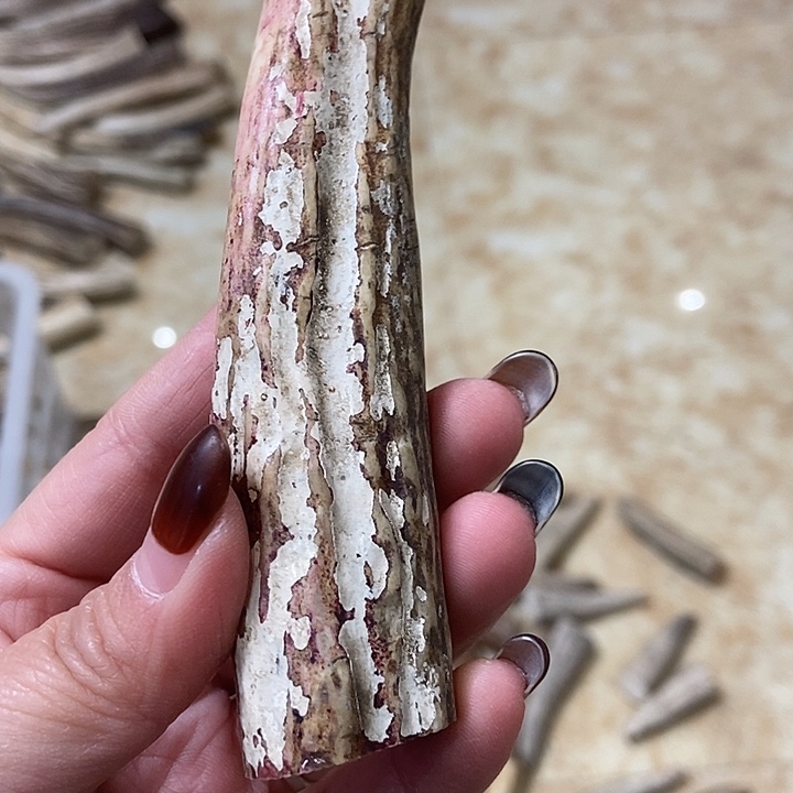 C***️中国大陆鹿角盘玩手把件ji