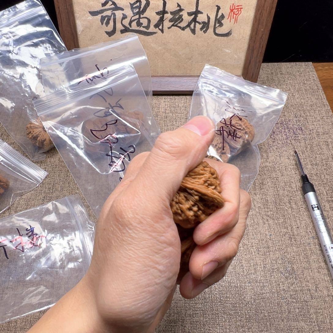 大***茶666666666666666666