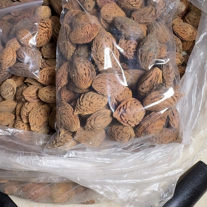 何***为核桃手串/手链桃核