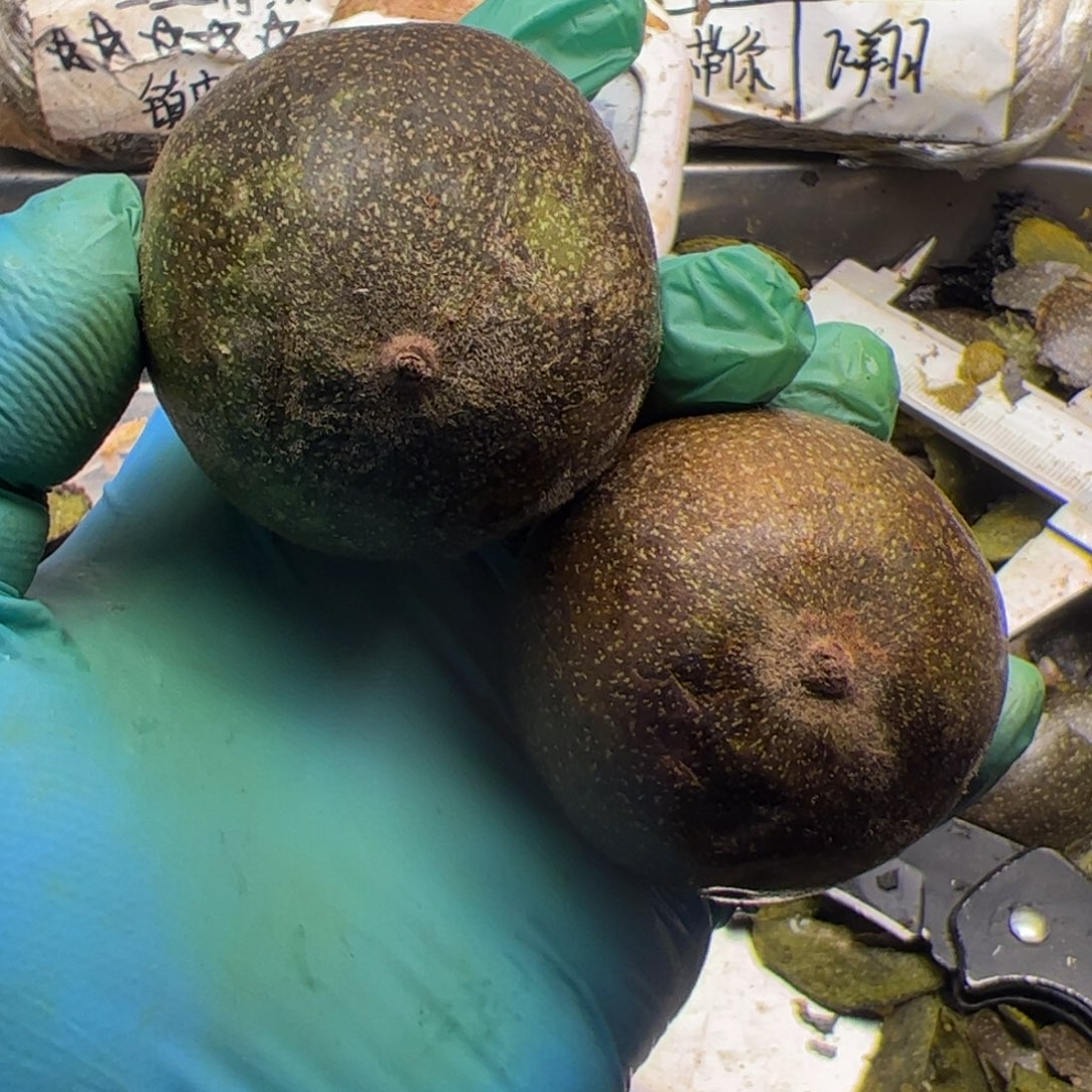 还***斌法国哈哈哈哈哈哈哈哈哈哈