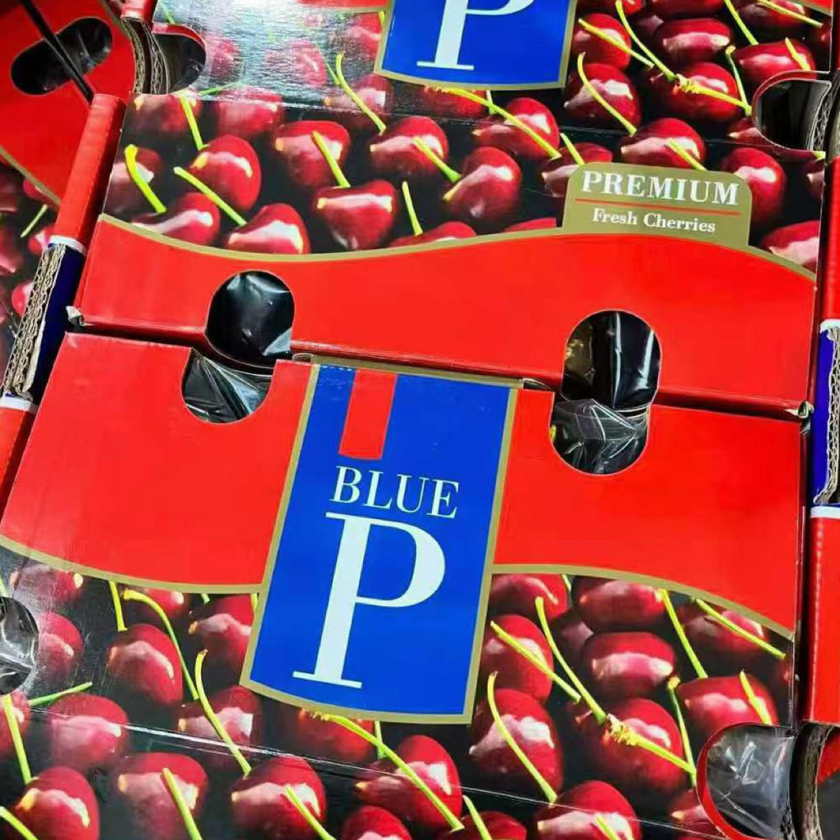 狗头海运蓝P桑提娜车厘子3JD 内附果径卡