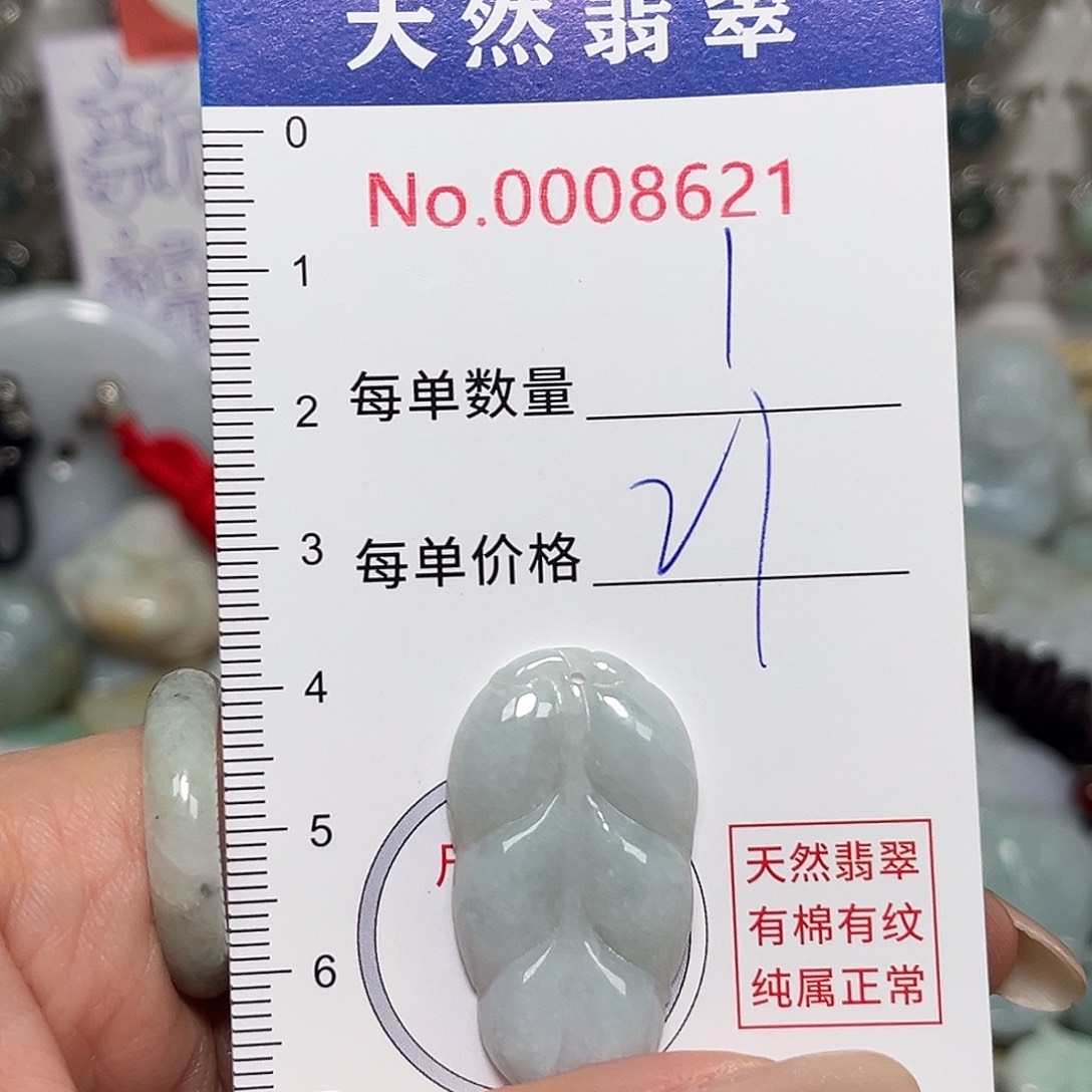 翡翠未镶嵌颈饰叶子