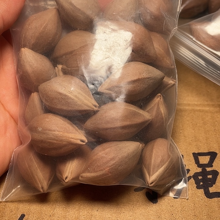 橄榄核手串/手链?