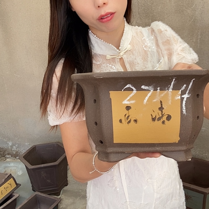 紫砂花盆27花盆花盆花盆花盆后