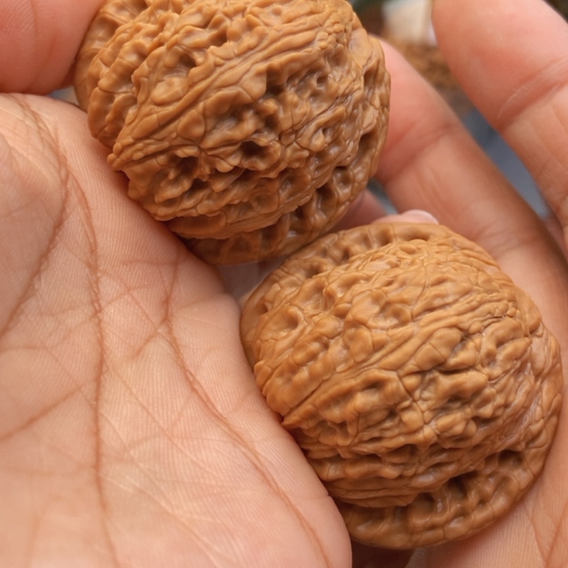 【闪购商品】文玩核桃把件42绣球全品