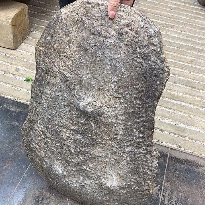 盆景异形花盆鱼缸w80