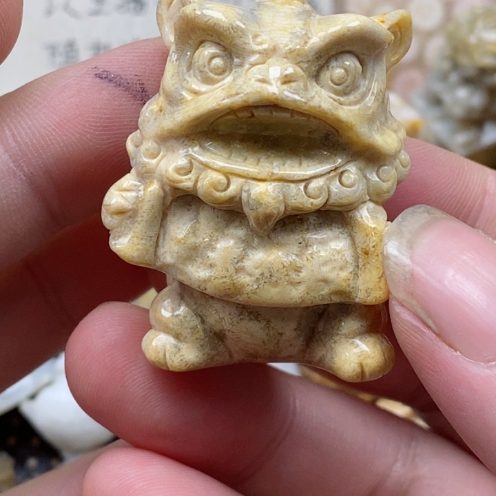 颈饰未镶嵌硅化珊瑚（珊瑚玉）