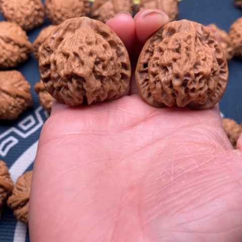 橄榄核手串/手链鹤渡岭38全品