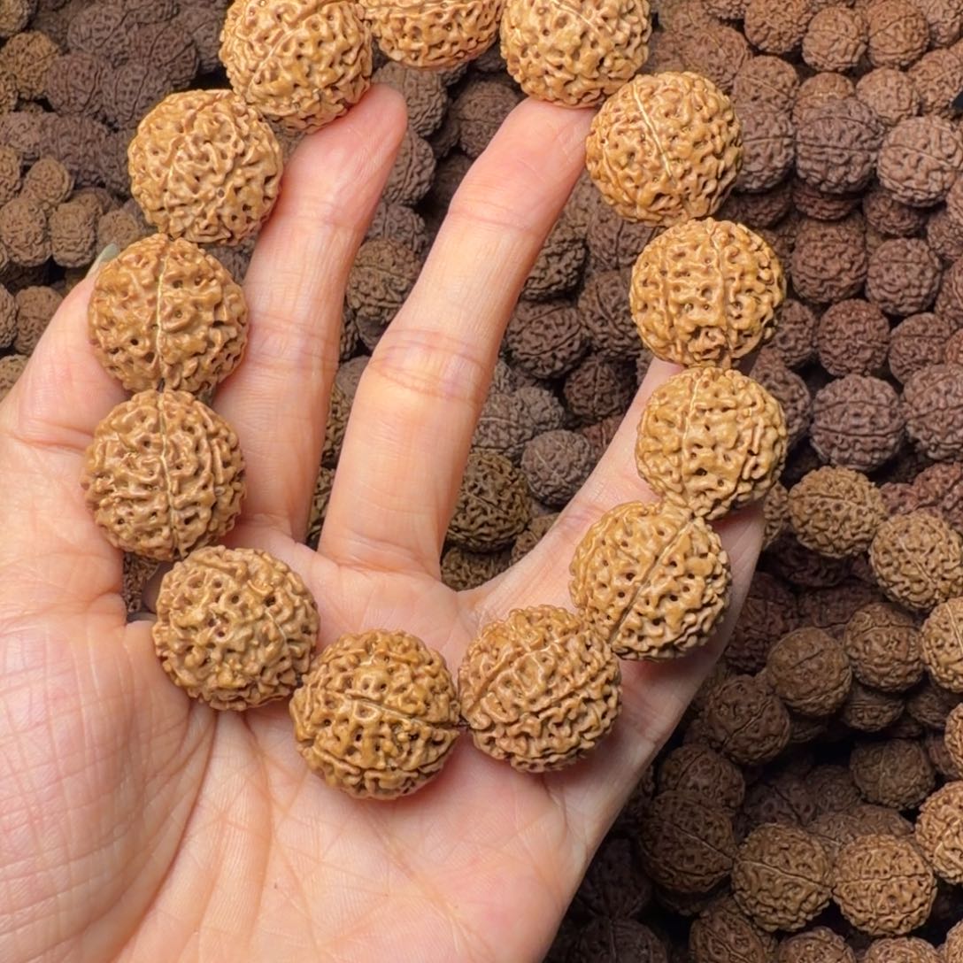 手串金刚菩提8瓣卡21尺，62号