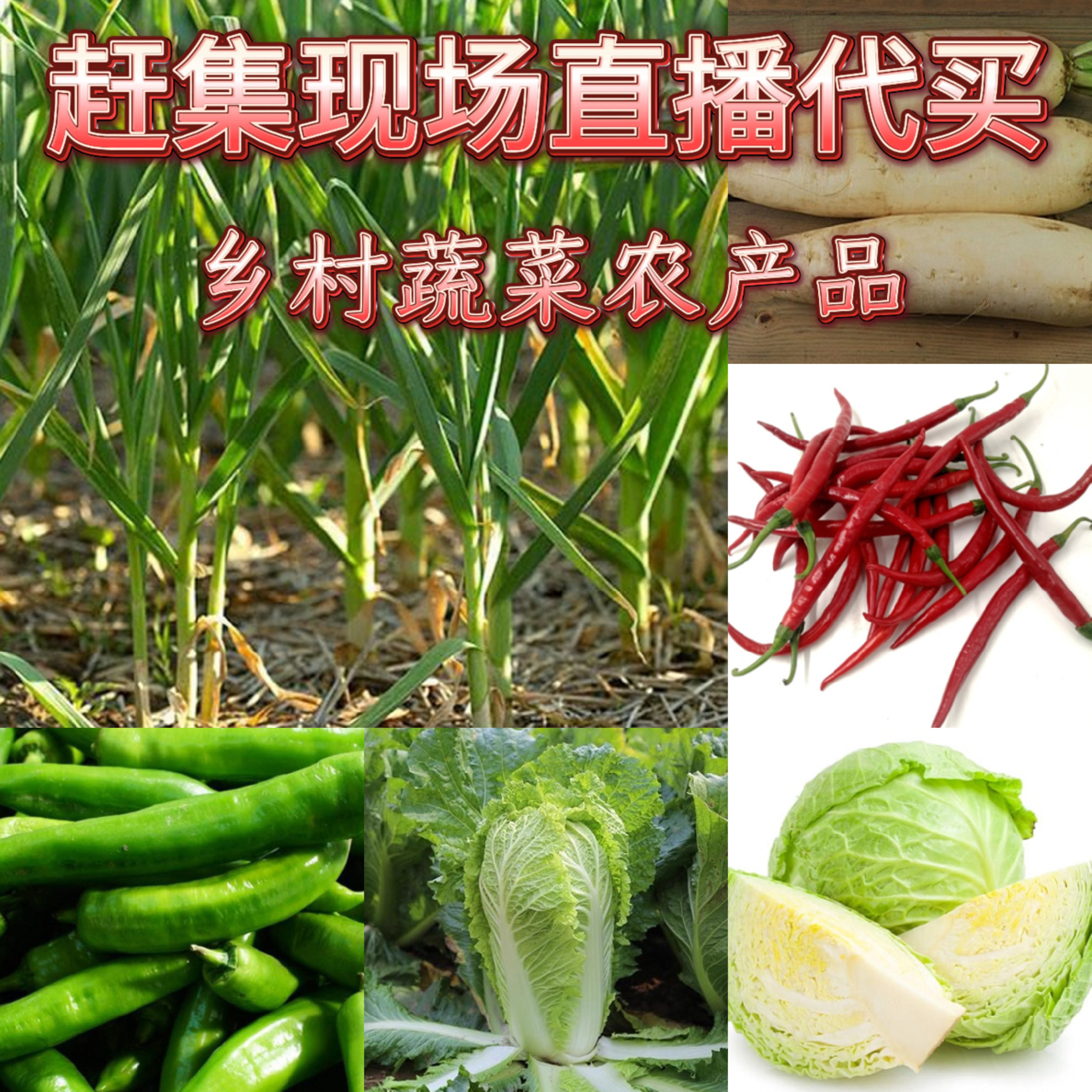 【农家蔬菜顺丰】江西农民自种新鲜蔬菜瓜果【不支持退款介意勿拍】