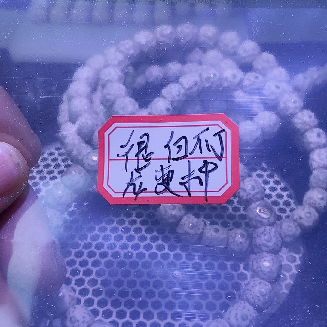 柏香籽/百香籽吊坠猫***！