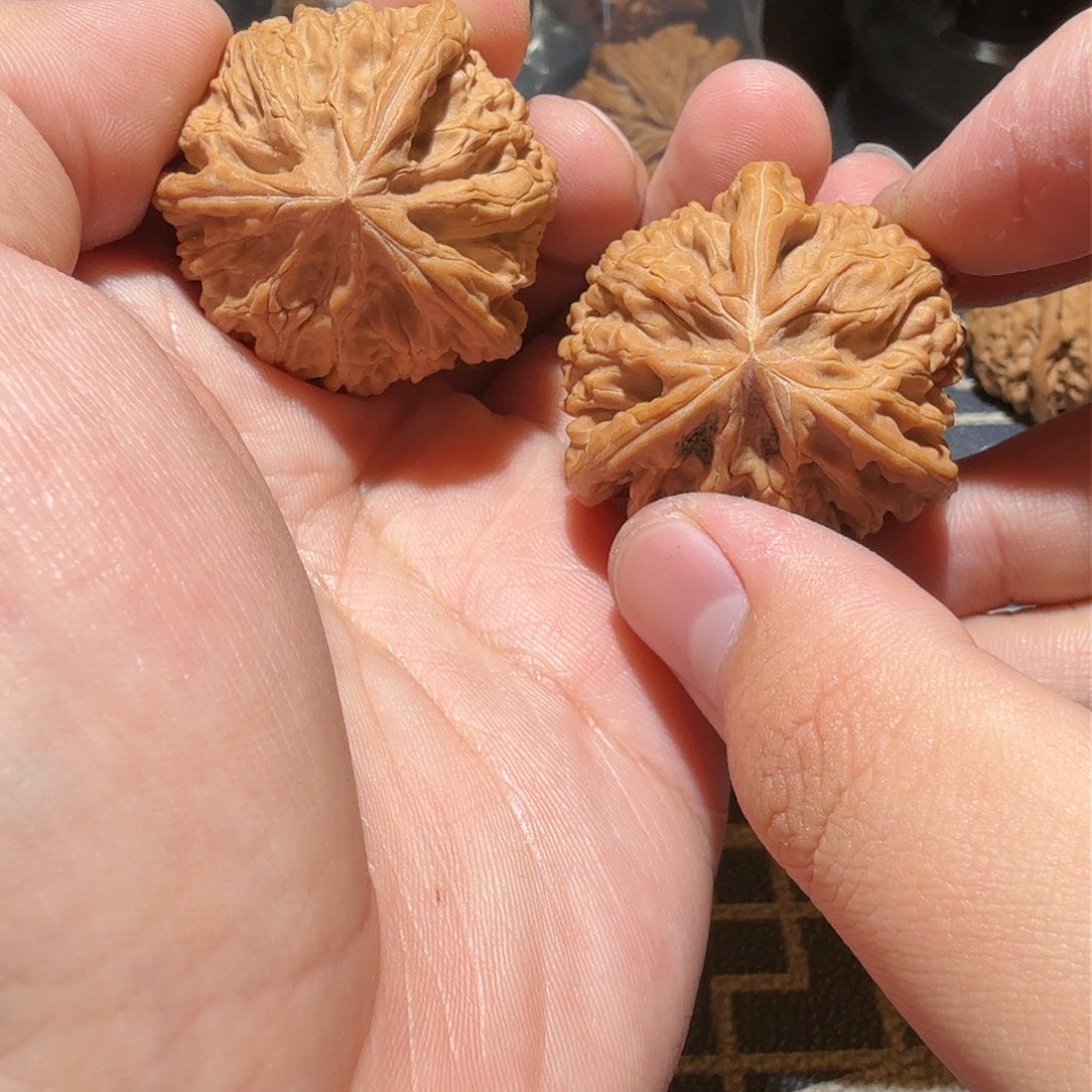 文玩核桃吊坠御龙