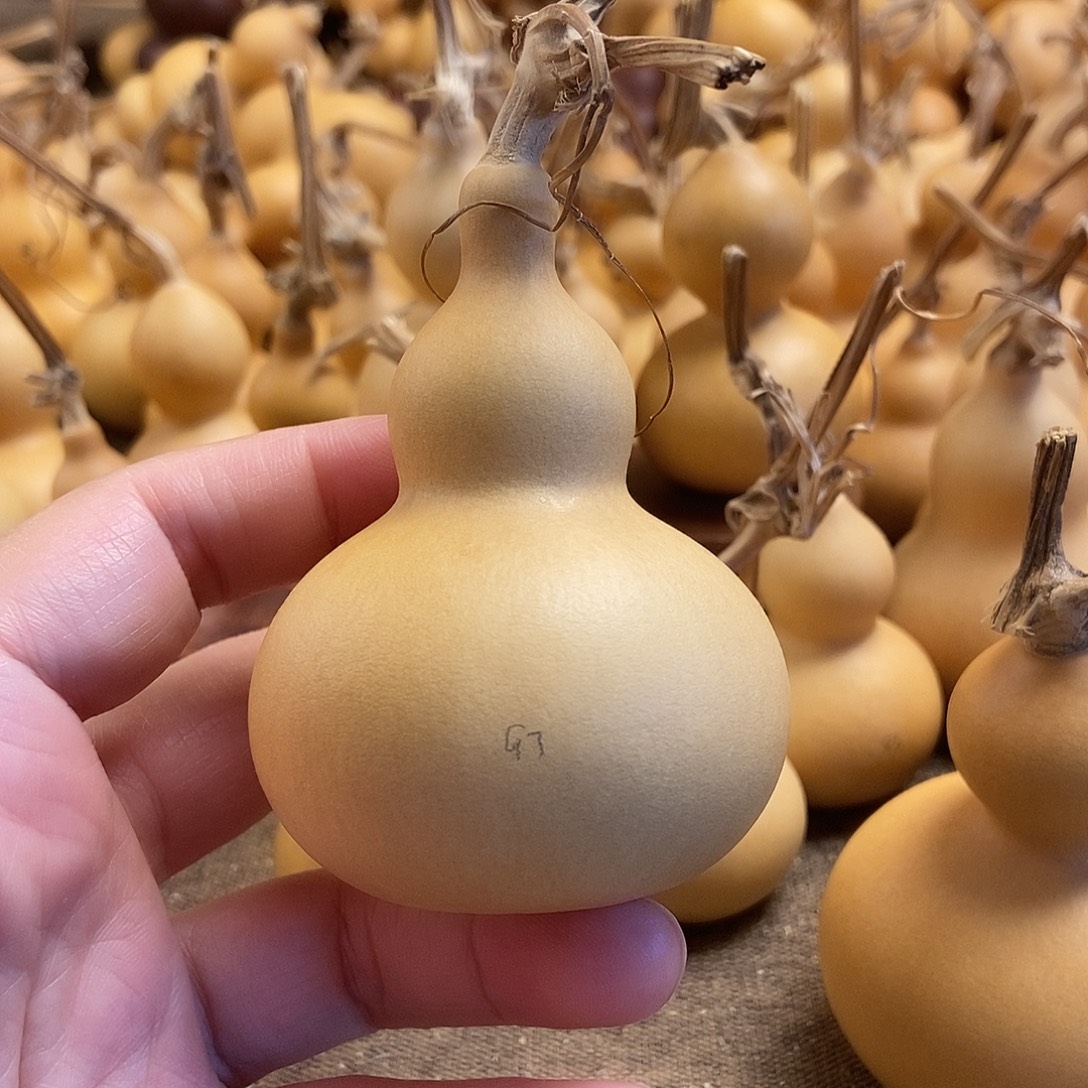 文玩葫芦 完美主义者 慎拍97