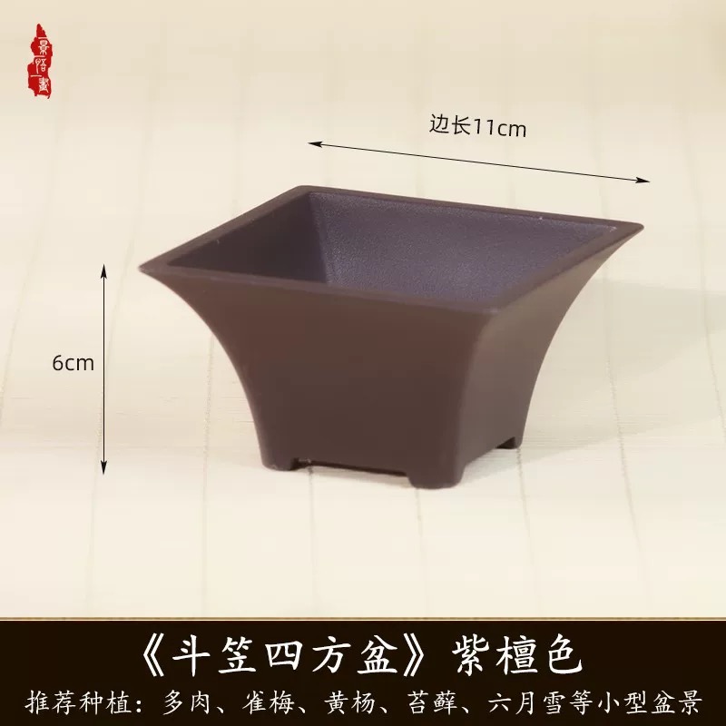 11cm口径6cm高树脂掌中宝多肉花盆桌面菖蒲盆栽用盆