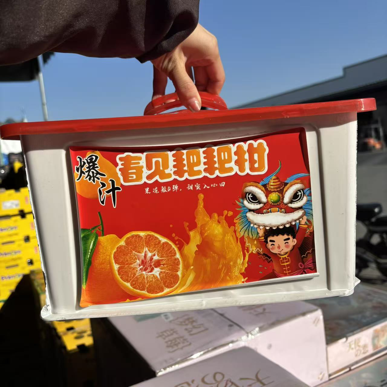 春见耙耙柑 爆浆香甜水分足 新鲜水果粒粒爆汁原装筐约4.5斤