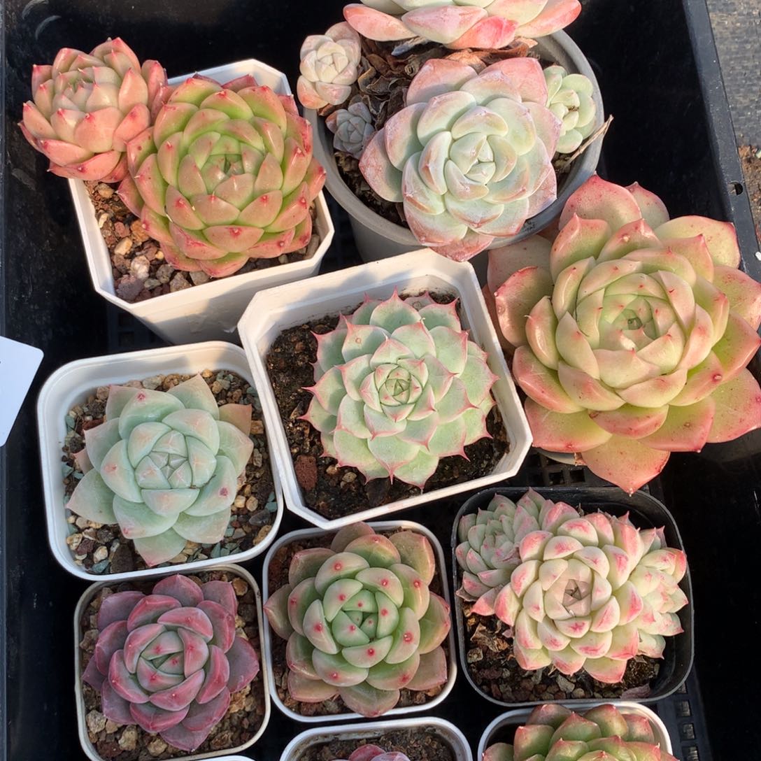 1207-30 套餐一组