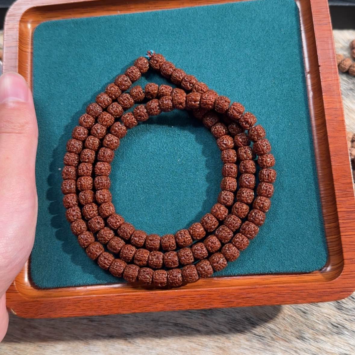 【闪购商品】金刚菩提吊坠健**遂老板自留打底一代盘龙纹