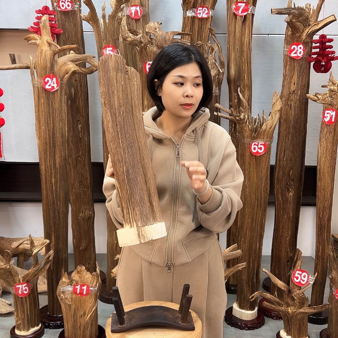 沉香摆件万沉香摆件