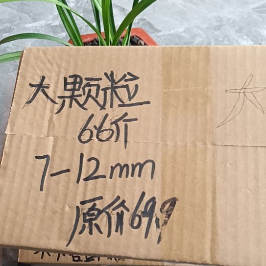 用***6兰菌黑山土大颗粒6.6斤