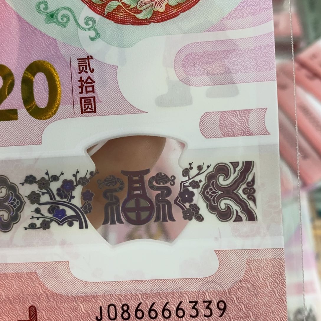 塑料 6339……………………