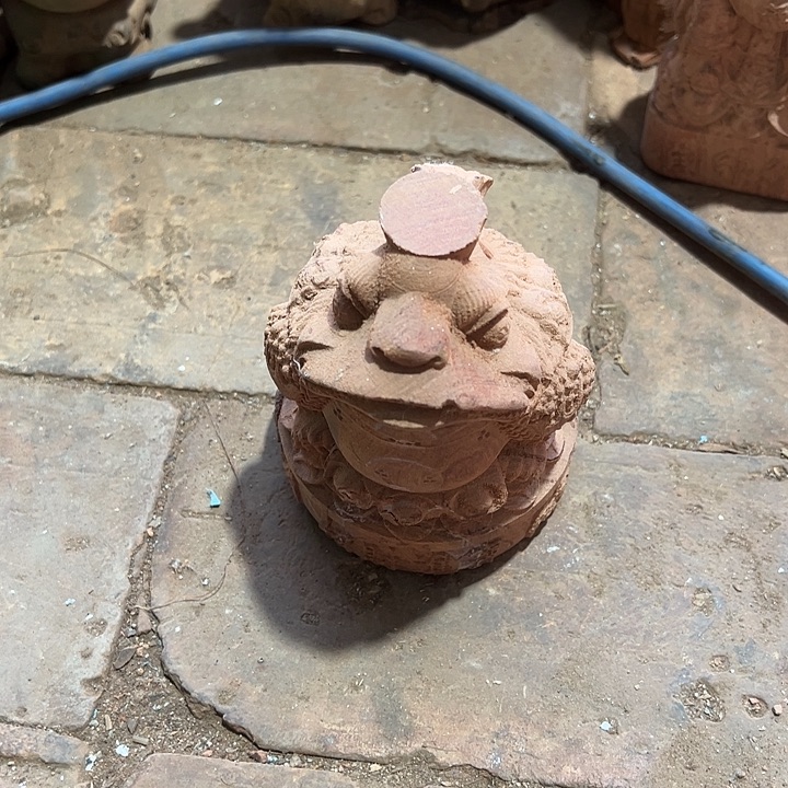 香榧木888898888888888