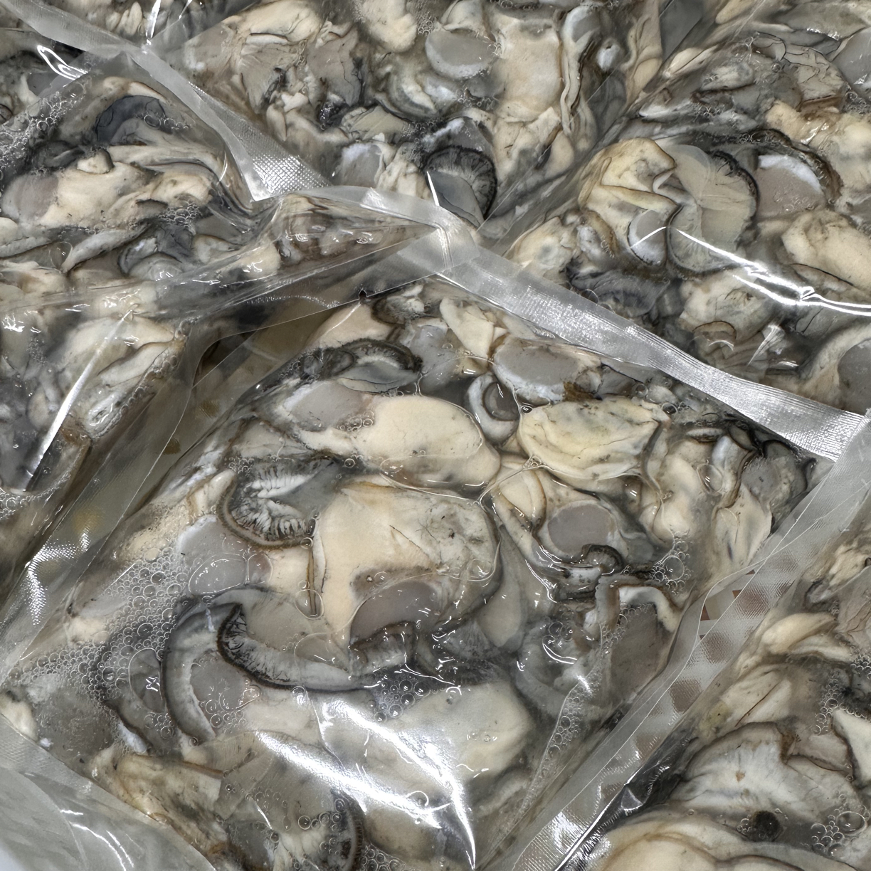 顺丰包邮 中大号海蛎子3袋3斤