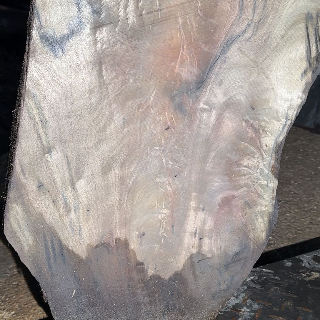 用***1乌木等资源的开发利用和利用等