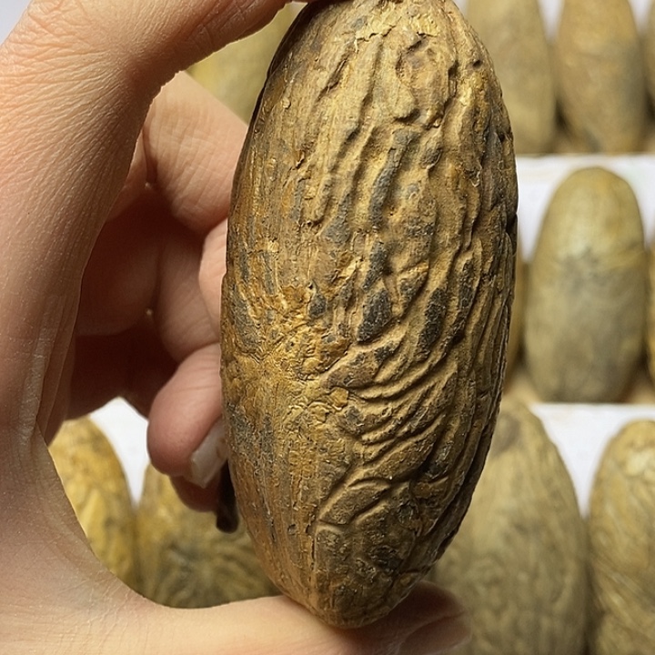 千眼菩提吊坠菩提