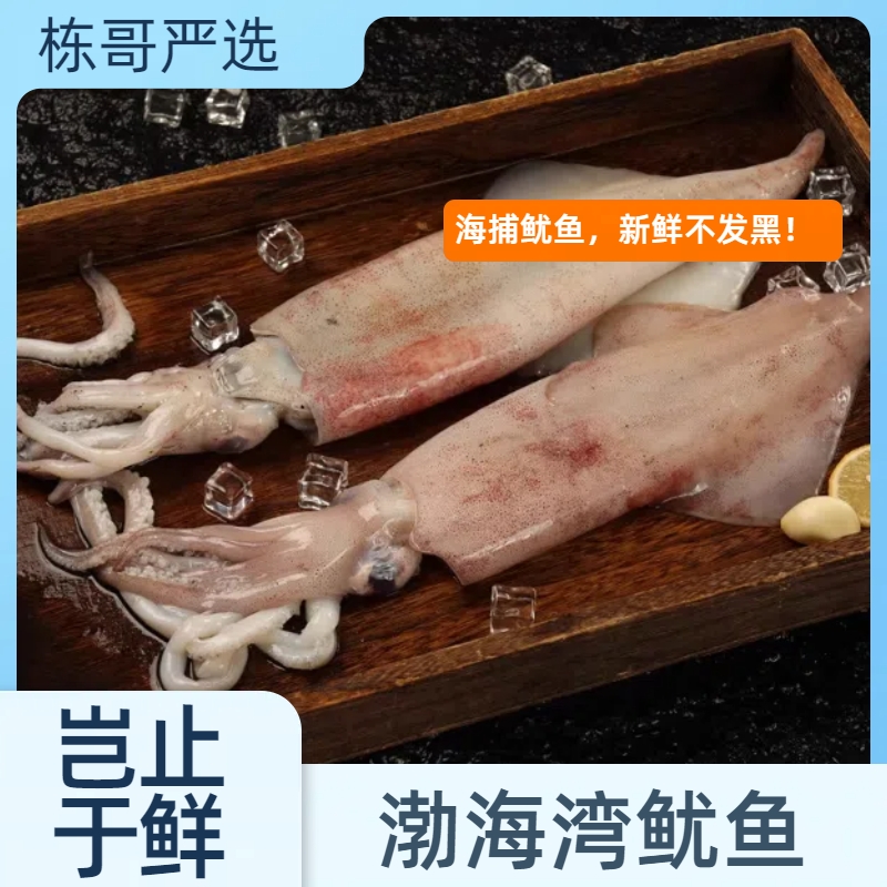 栋哥严选新鲜速冻锁鲜鱿鱼大连鱿鱼原浆真空包装鲜鱿鱼