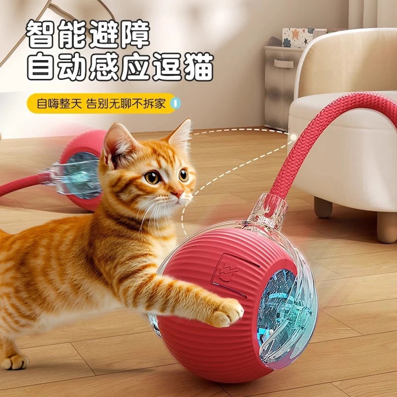 猫玩具自动逗猫球自嗨解闷逗猫神器小猫逗猫棒猫猫狗用品猫咪玩具