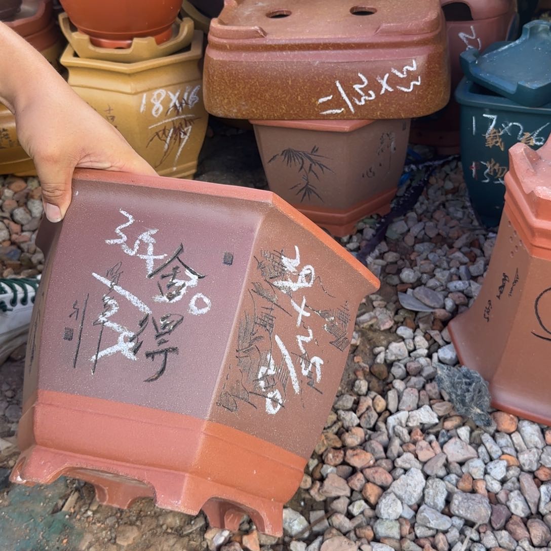 紫砂花盆紫砂花盆盆景盆栽