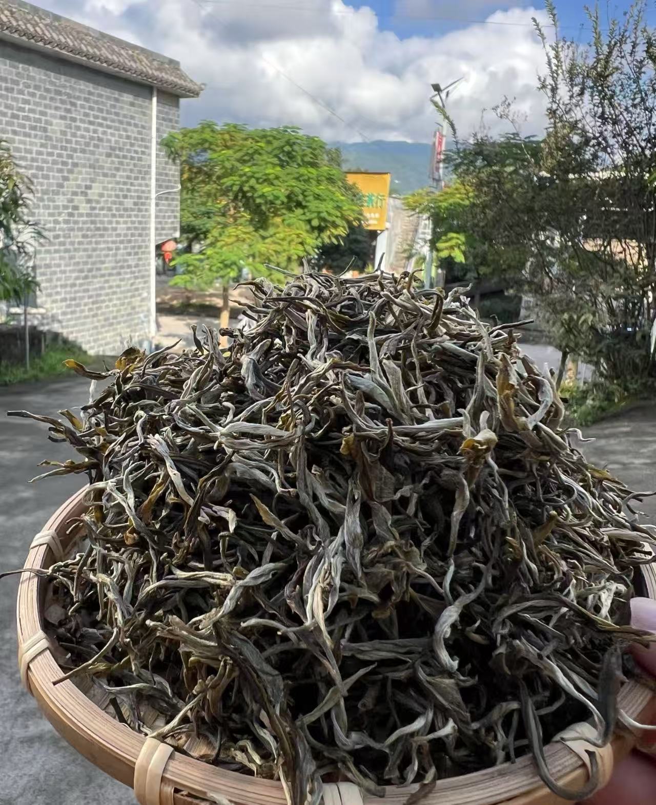 2025年欣卡利400年古树（生茶）高杆（MD0147）--七七