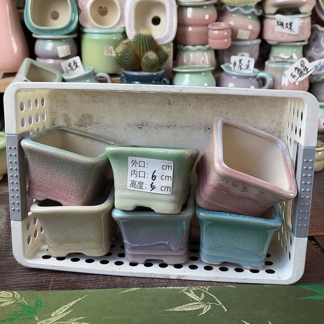 量货/6口高5深浅搭配发6