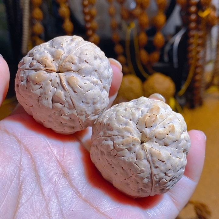 野生三瓣大金刚把件4045