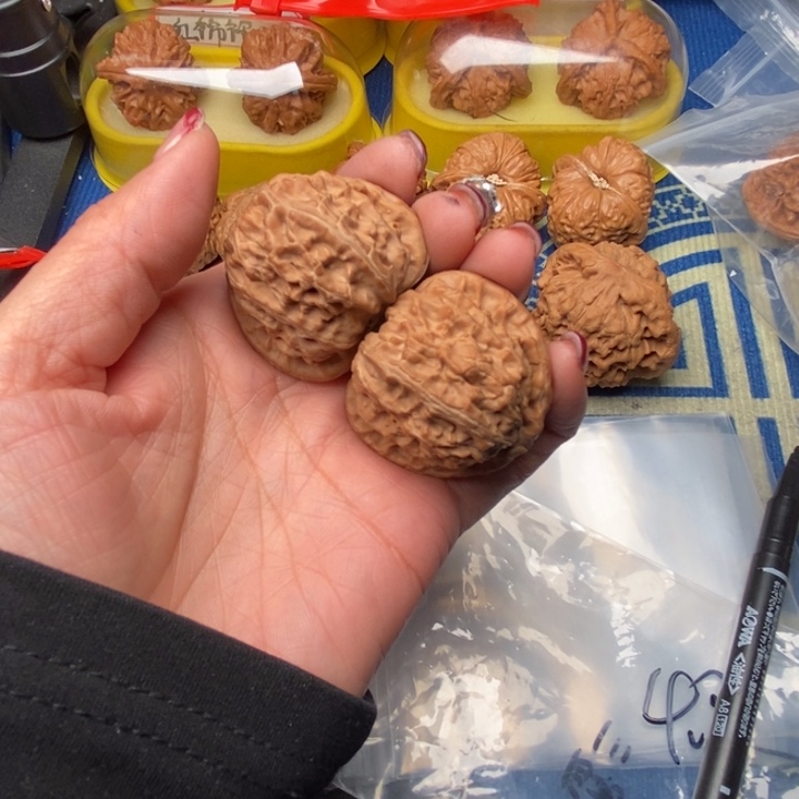 桃核吊坠白狮子40全品